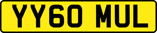 YY60MUL