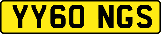 YY60NGS