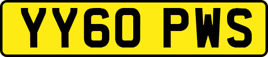 YY60PWS