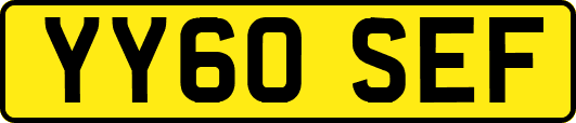 YY60SEF