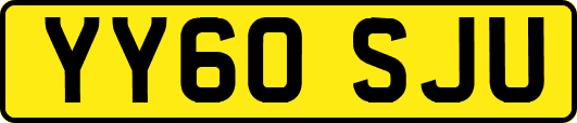 YY60SJU
