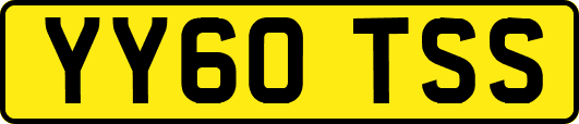 YY60TSS