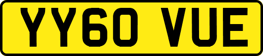YY60VUE