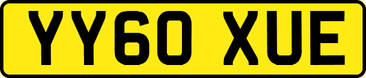 YY60XUE