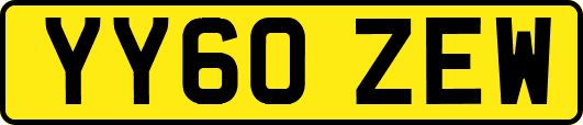 YY60ZEW