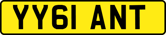 YY61ANT