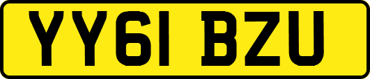 YY61BZU
