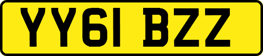 YY61BZZ