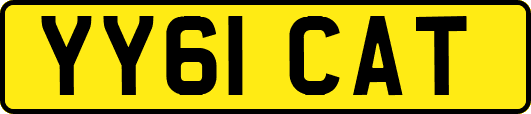 YY61CAT