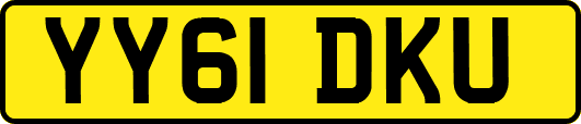 YY61DKU