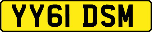 YY61DSM