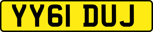 YY61DUJ