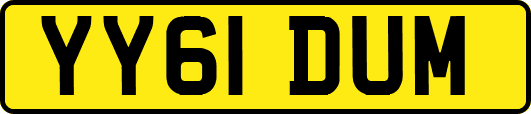 YY61DUM
