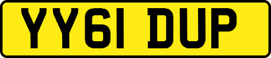 YY61DUP