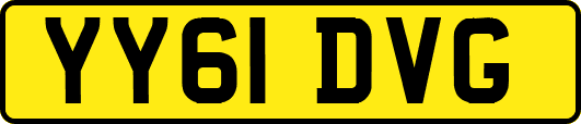 YY61DVG