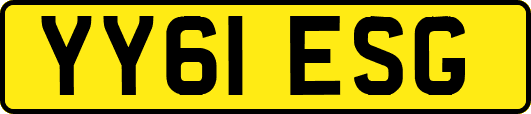 YY61ESG