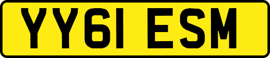 YY61ESM