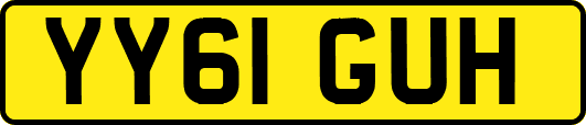 YY61GUH