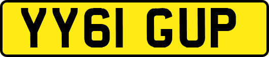 YY61GUP