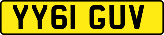 YY61GUV
