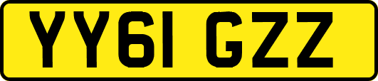 YY61GZZ