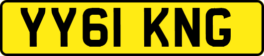 YY61KNG