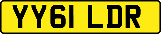 YY61LDR