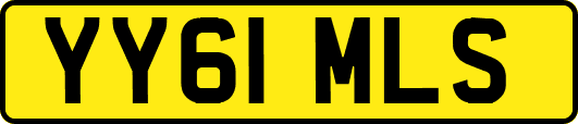 YY61MLS
