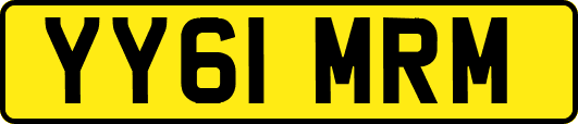 YY61MRM