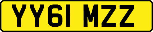 YY61MZZ