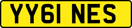 YY61NES