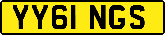 YY61NGS