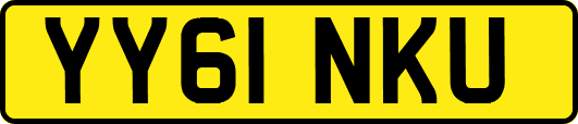 YY61NKU