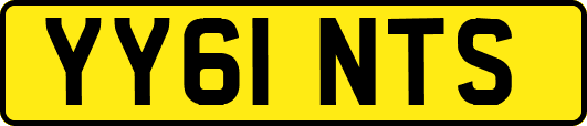 YY61NTS