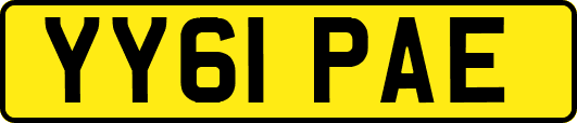 YY61PAE