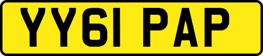 YY61PAP