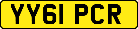 YY61PCR