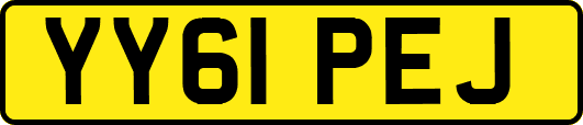 YY61PEJ