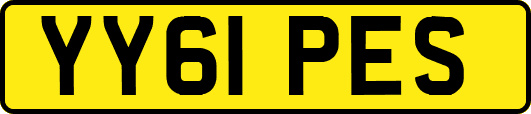 YY61PES
