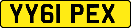YY61PEX