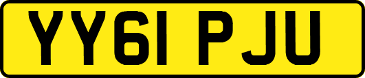 YY61PJU