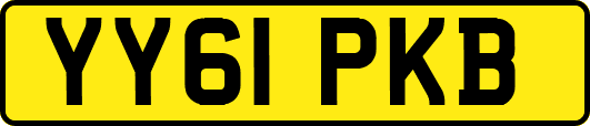 YY61PKB