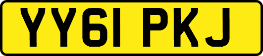 YY61PKJ