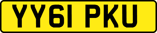 YY61PKU