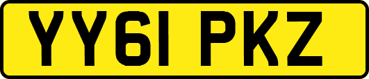 YY61PKZ