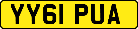 YY61PUA
