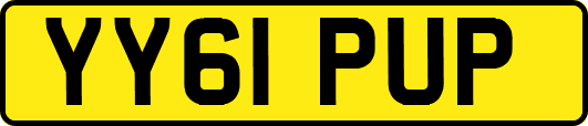 YY61PUP
