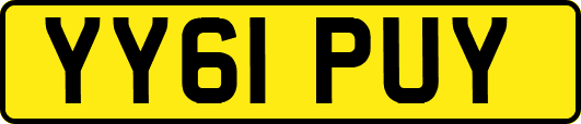 YY61PUY
