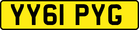 YY61PYG