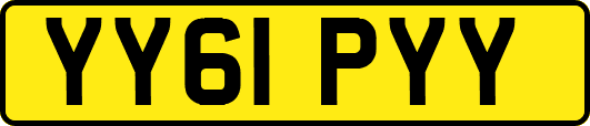 YY61PYY